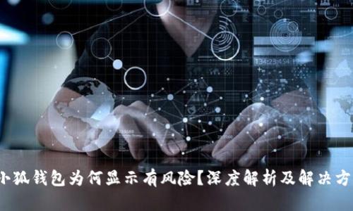  小狐錢包為何顯示有風(fēng)險(xiǎn)？深度解析及解決方案