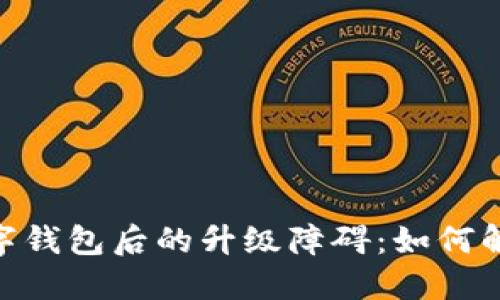 : 開通數(shù)字錢包后的升級障礙：如何解決與體驗