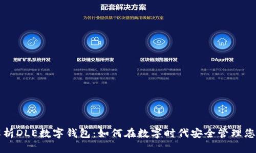 全面解析DLE數(shù)字錢包：如何在數(shù)字時代安全管理您的資產(chǎn)
