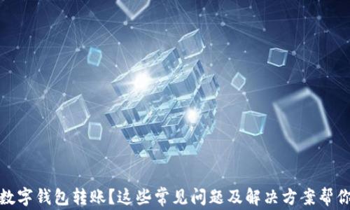 
沒有收到數(shù)字錢包轉賬？這些常見問題及解決方案幫你找回資金