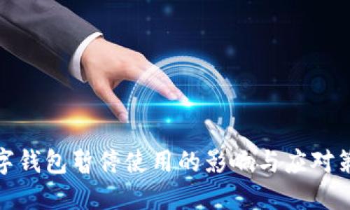 數(shù)字錢包暫停使用的影響與應(yīng)對(duì)策略