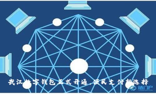 武漢數(shù)字錢包正式開通，便民支付新選擇