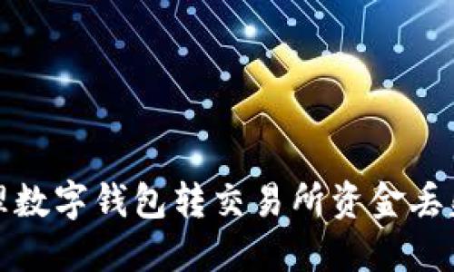 如何處理數(shù)字錢包轉交易所資金丟失的問題