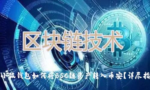 : 小狐錢包如何將BSC鏈資產(chǎn)轉(zhuǎn)入幣安？詳盡指南