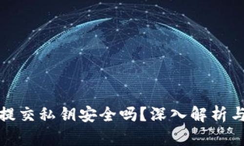 數(shù)字錢(qián)包提交私鑰安全嗎？深入解析與風(fēng)險(xiǎn)防范