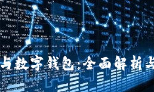 公司賬戶與數(shù)字錢包：全面解析與應(yīng)用前景