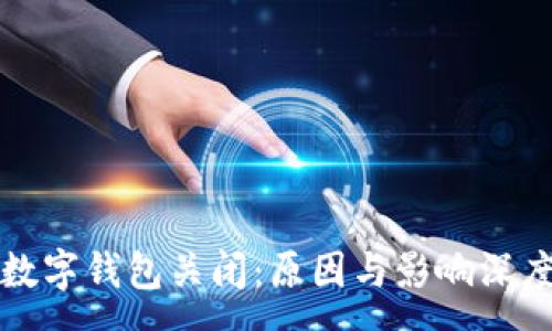 :
對(duì)公數(shù)字錢包關(guān)閉：原因與影響深度分析