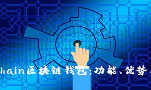 全面解析Chain區(qū)塊鏈錢包：功能、優(yōu)勢與應(yīng)用場景