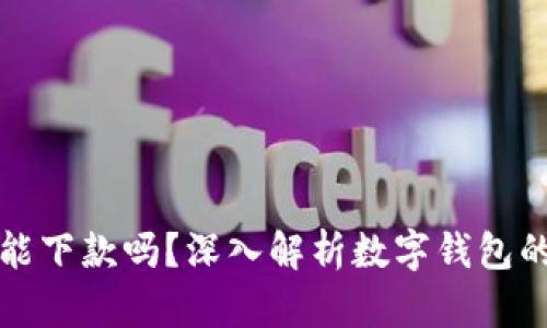 數(shù)字錢包還能下款嗎？深入解析數(shù)字錢包的現(xiàn)狀與未來