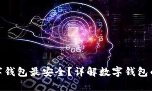 哪種數(shù)字錢包最安全？詳解數(shù)字錢包的安全性