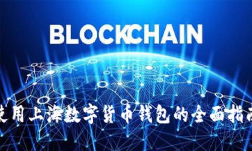 使用上海數字貨幣錢包的全面指南