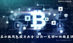 真正小狐錢包圖片大全：