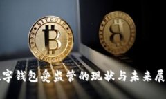 數字錢包受監(jiān)管的現狀與