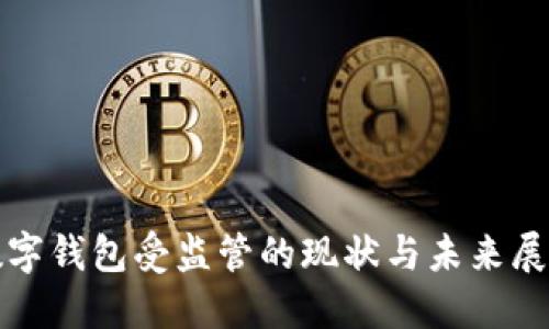 數(shù)字錢包受監(jiān)管的現(xiàn)狀與未來展望