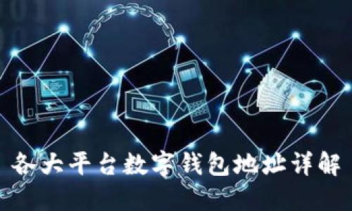 各大平臺(tái)數(shù)字錢(qián)包地址詳解