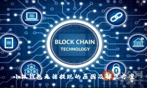 小狐錢包無(wú)法提現(xiàn)的原因及解決方案