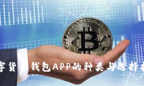 數(shù)字貨幣錢包APP的種類與選擇指南