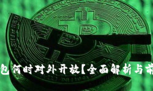 數(shù)字錢包何時(shí)對(duì)外開(kāi)放？全面解析與前景展望