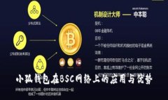 小狐錢包在BSC網(wǎng)絡(luò)上的應(yīng)