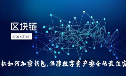 手機(jī)如何加密錢(qián)包，保障數(shù)字資產(chǎn)安全的最佳實(shí)踐