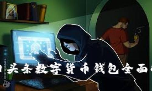 今日頭條數(shù)字貨幣錢包全面解析