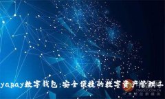 biyapay數(shù)字錢包：安全便捷