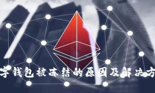 數(shù)字錢包被凍結(jié)的原因及解決方案